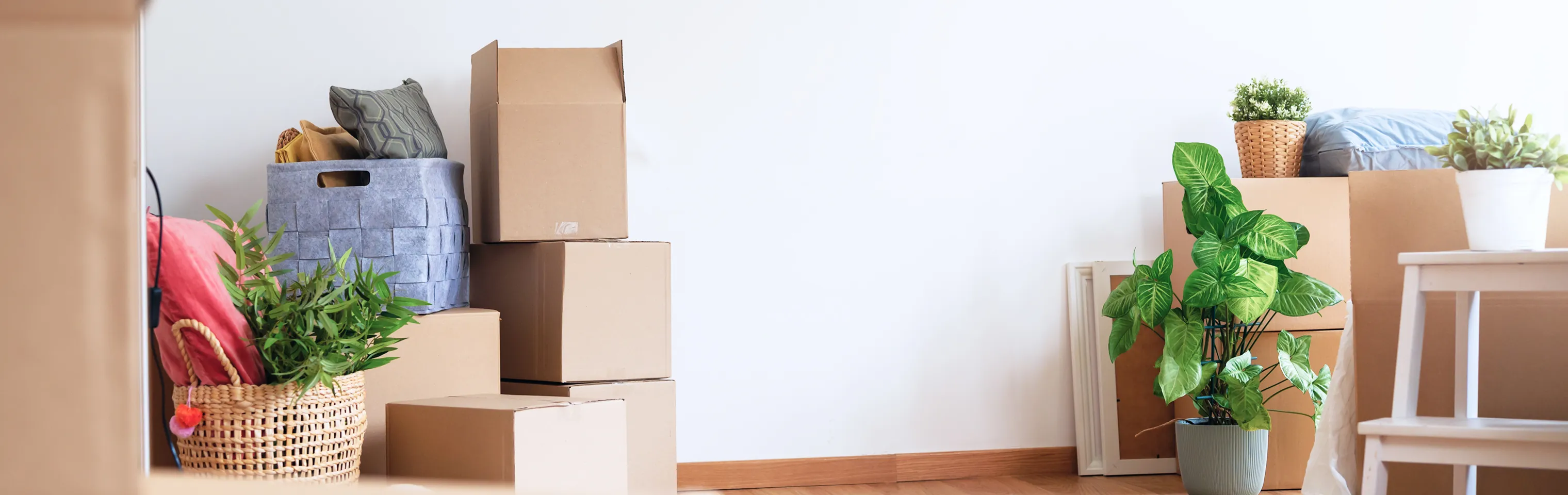 段ボールに荷物を詰めたり、整理整頓しながら引越し準備をしている部屋